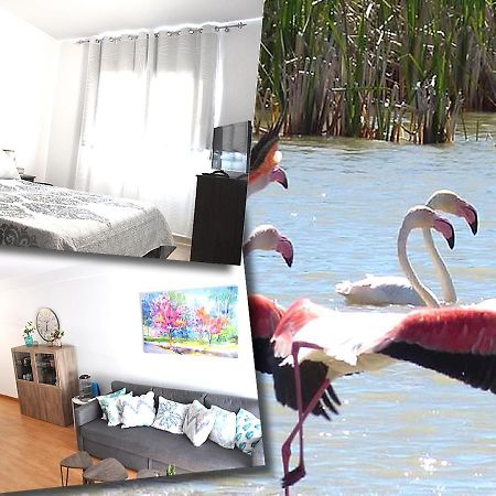 Duplex En Delta De L'Ebre Con Dos Terrazas Y Balcon Apartment Deltebre Luaran gambar